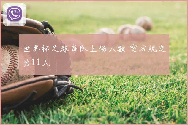 世界杯足球每队上场人数 官方规定为11人