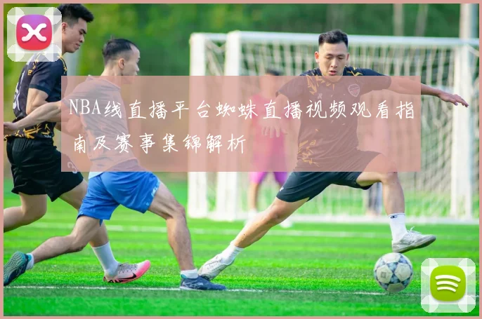 NBA线直播平台蜘蛛直播视频观看指南及赛事集锦解析