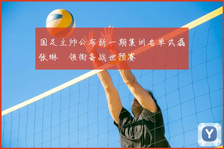 国足主帅公布新一期集训名单武磊张琳芃领衔备战世预赛