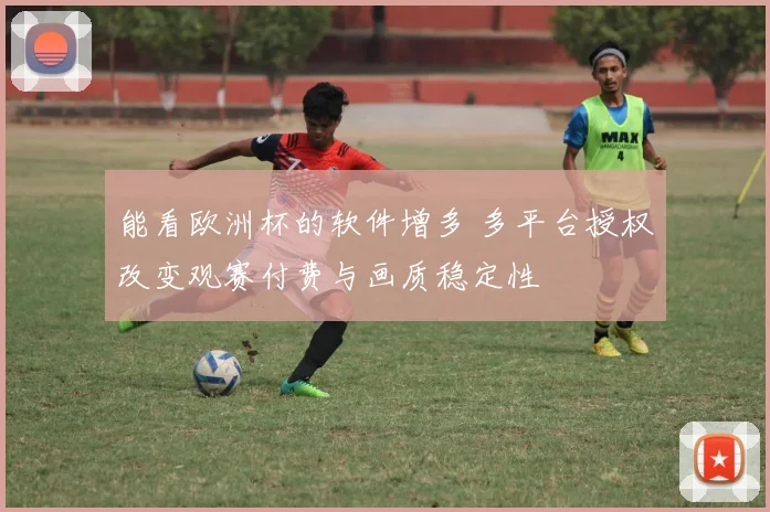 能看欧洲杯的软件增多 多平台授权改变观赛付费与画质稳定性