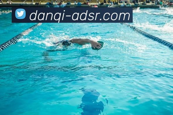 开云app官方在线入口平台生态图